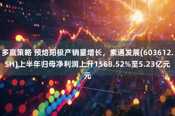 多赢策略 预焙阳极产销量增长，索通发展(603612.SH)上半年归母净利润上升1568.52%至5.23亿元
