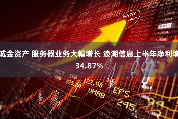 诚金资产 服务器业务大幅增长 浪潮信息上半年净利增34.87%