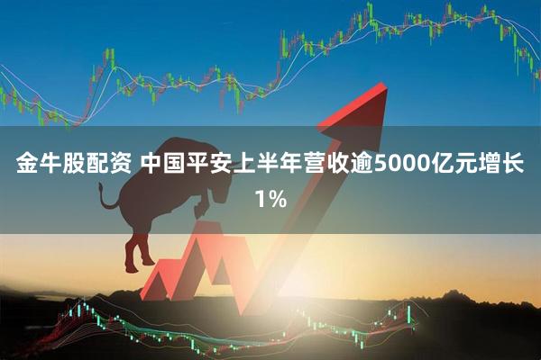 金牛股配资 中国平安上半年营收逾5000亿元增长1%